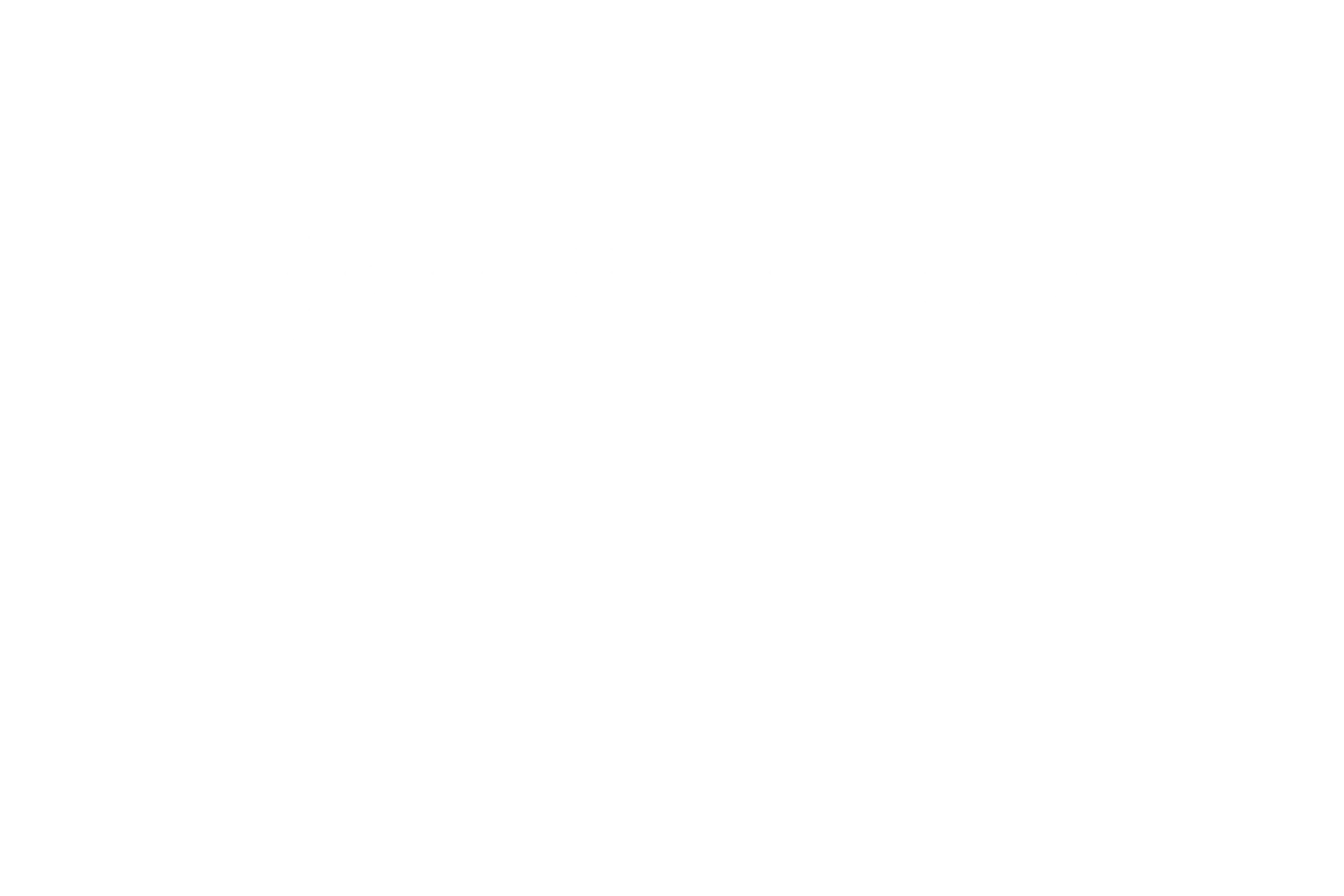 The Flying Marlon Crew